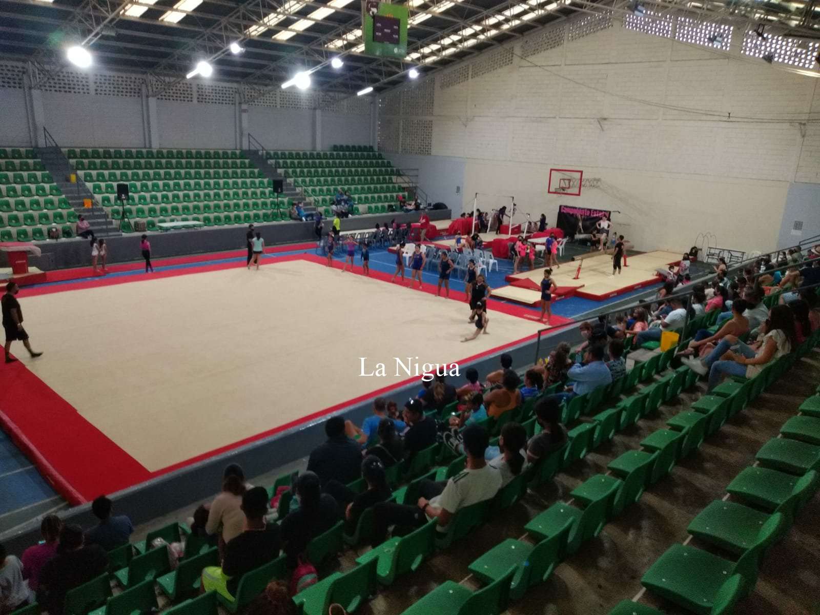 Fortín será sede del campeonato estatal de gimnasia artística 2 img 20220421 wa00828981714256747615364
