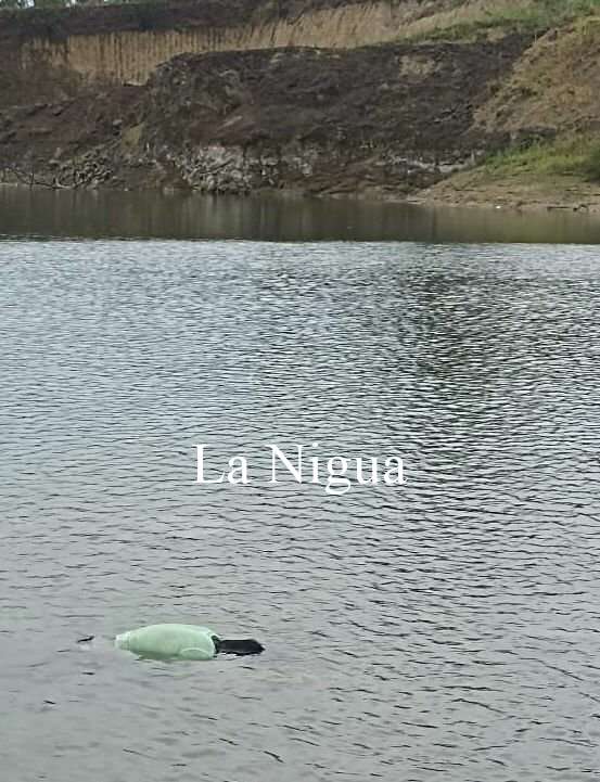 Hallan ahogado en presa 1 img 20220427 wa00042834082308836152310