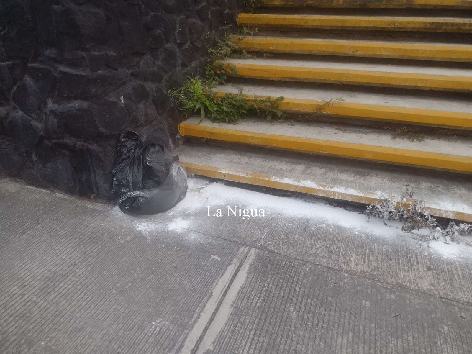 Movilización policíaca por supuestos restos humanos en Papantla 3 img 20220509 wa00178189312243592248624