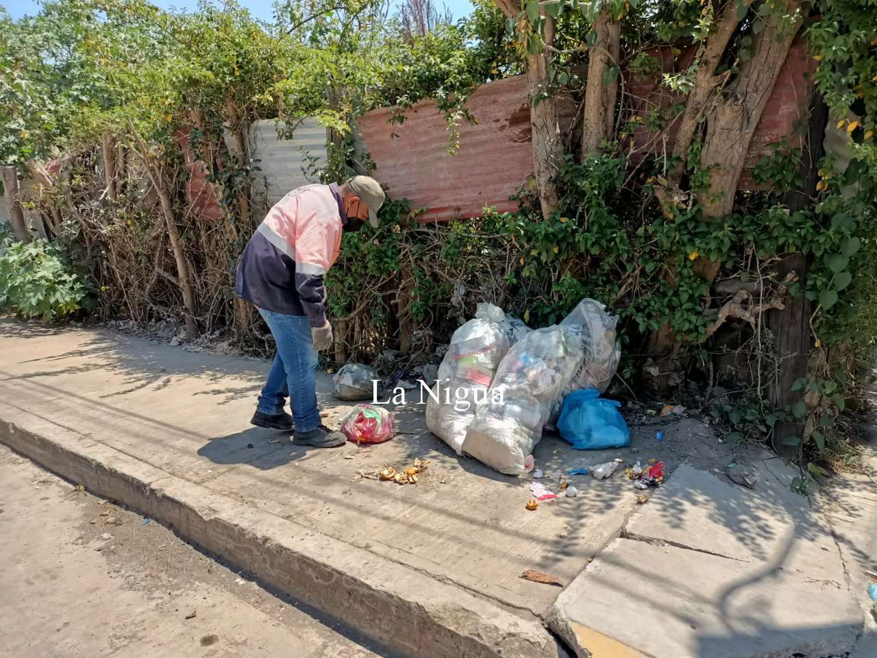 Amplía Limpia Pública su servicio con recolección nocturna 7 img 20220509 wa00395995412070378108695