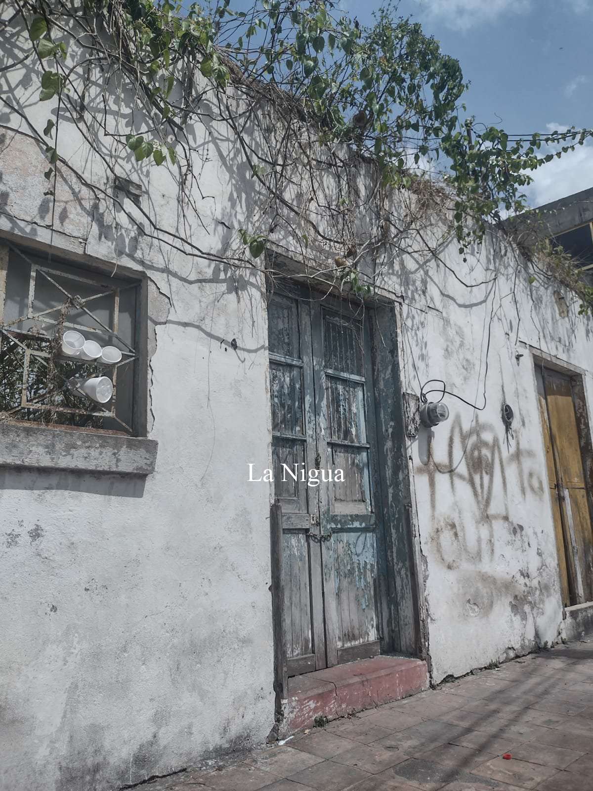 En completo abandono varias históricas viviendas en Papantla 9 img 20220511 wa00833860032923598207595