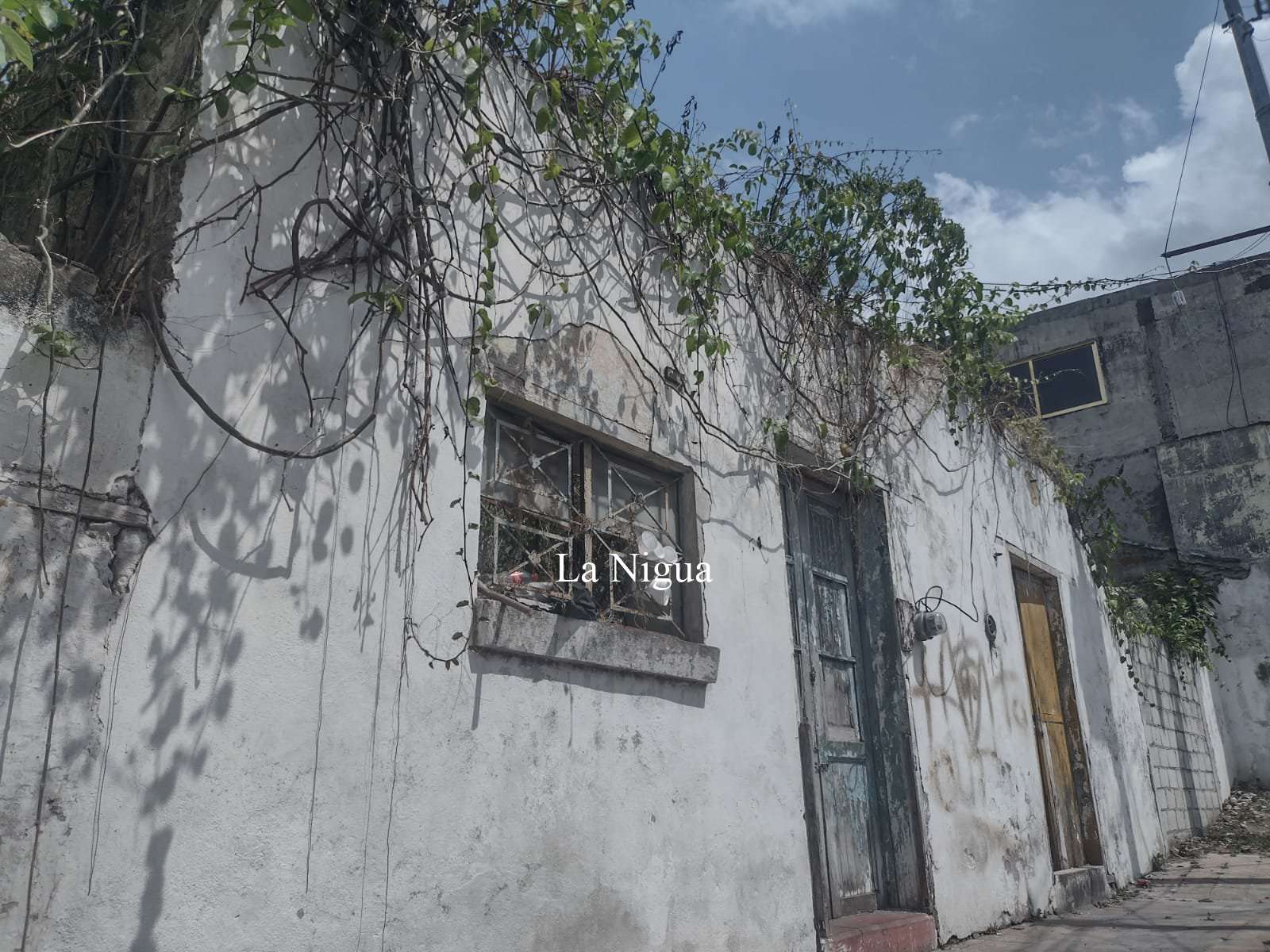 En completo abandono varias históricas viviendas en Papantla 3 img 20220511 wa00864155976213414987485