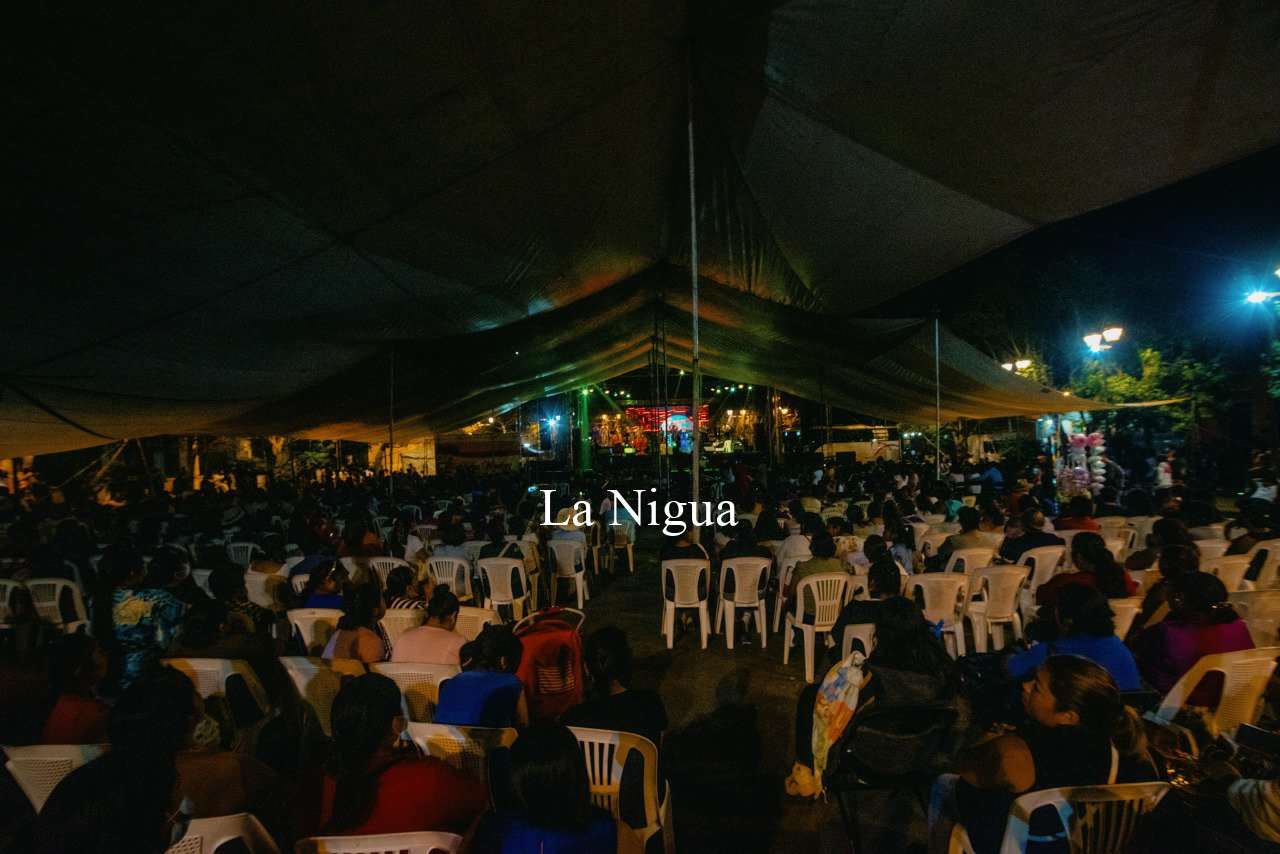 FESTEJAN A LAS MAMÁS DE COSCOMATEPEC 5 img 20220512 wa00197796326607663602294