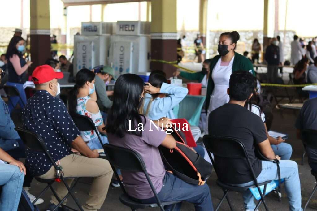 Aplicó IMSS Veracruz Sur 33 mil vacunas contra COVID-19