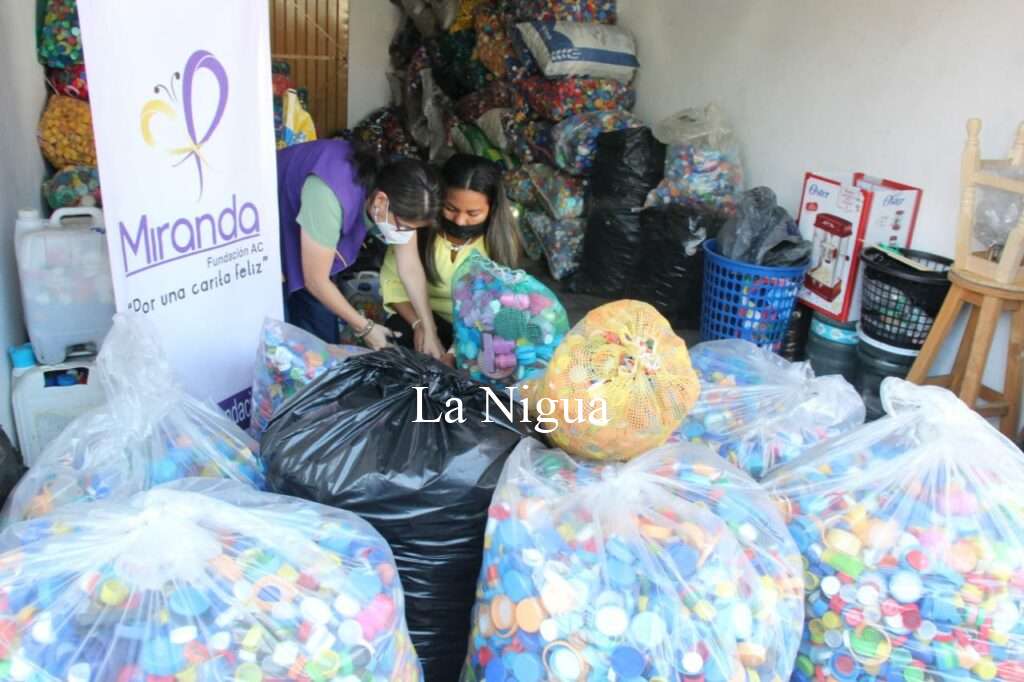 Se beneficiarán 52 niños con cáncer con tapitas recaudadas por el DIF municipal de Atoyac