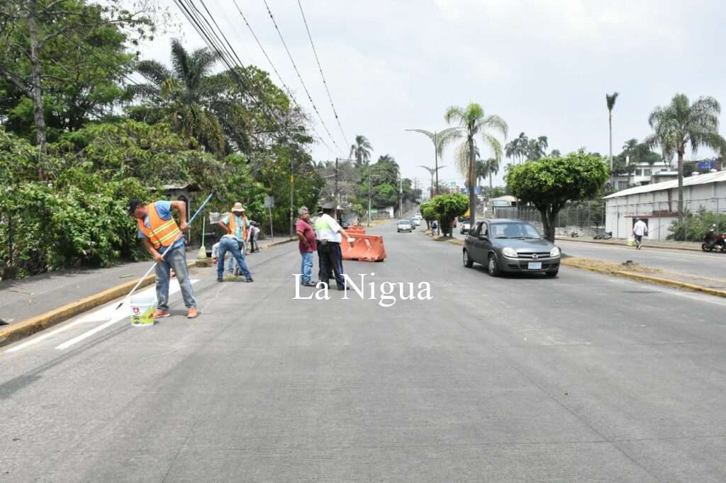 Delimitan pasos peatonales y estacionamiento de vehículos