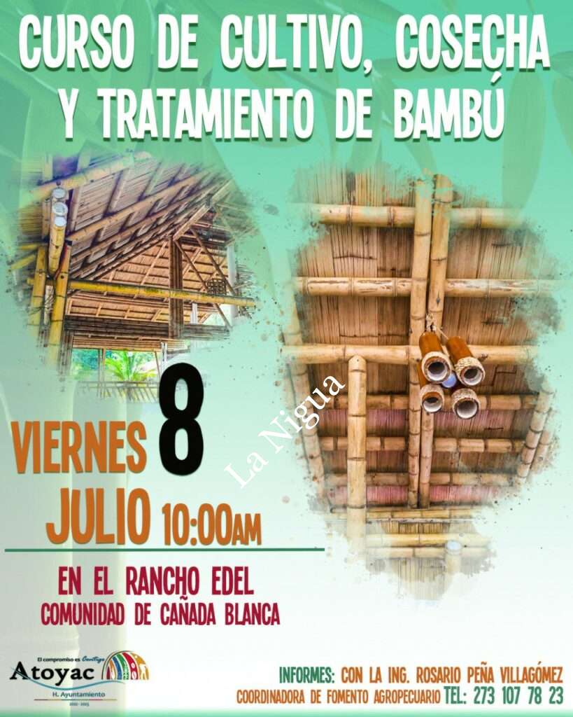 Invita Ayuntamiento de Atoyac a taller de cultivo de bambú