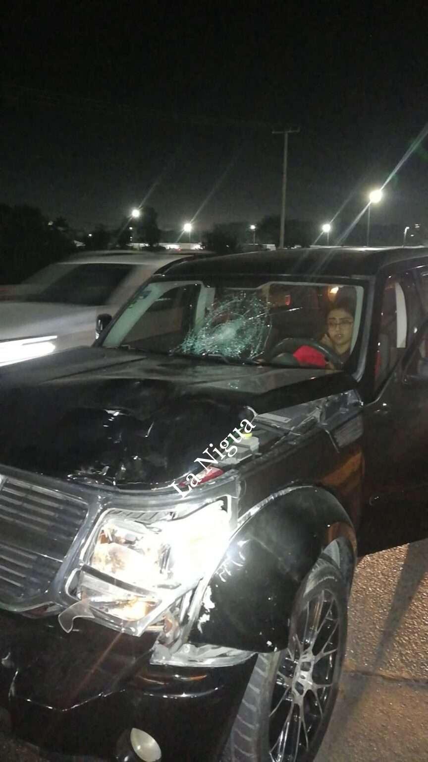 Caballo provoca choque