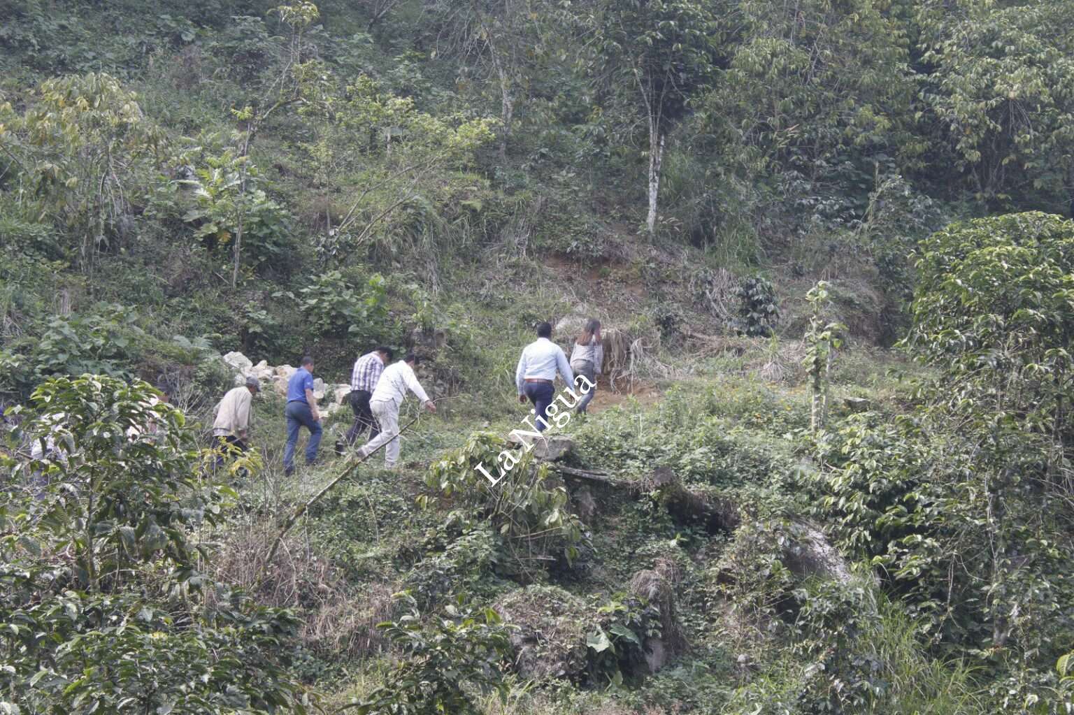 Continúa apoyo de Ayuntamiento de Atoyac para camino en la sierra
