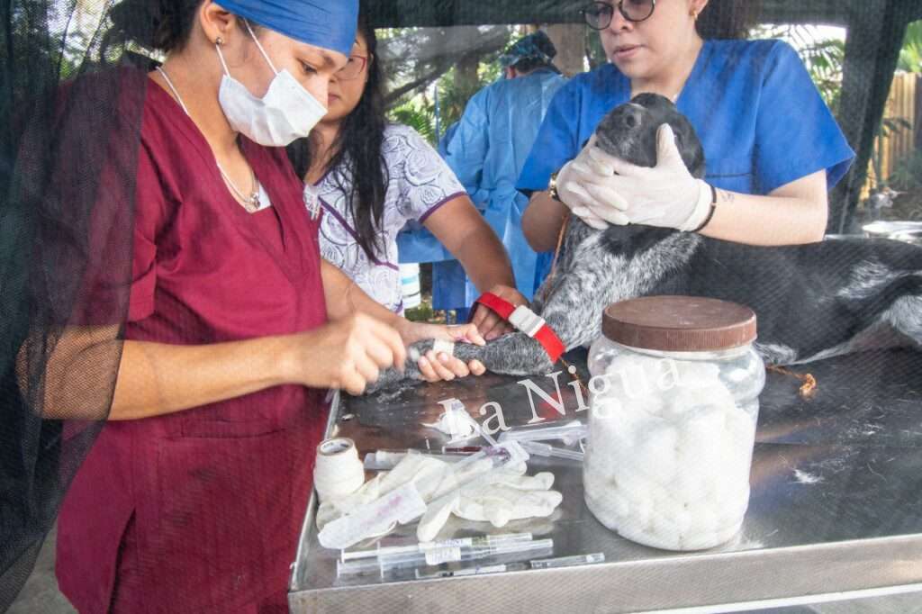 Llega brigada de esterilización a bajo costo a colonia Paraíso 1 img 20230210 wa00029215693220470726035