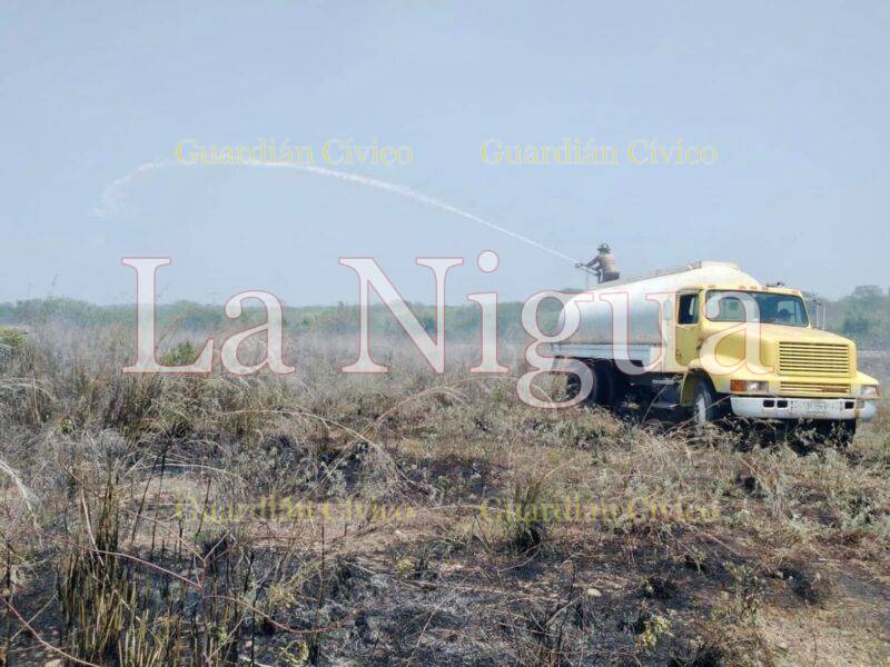 Respondientes de Soledad de Doblado, sofocan incendio de pastizal. 2 img 20230621 wa00088195724360025137557