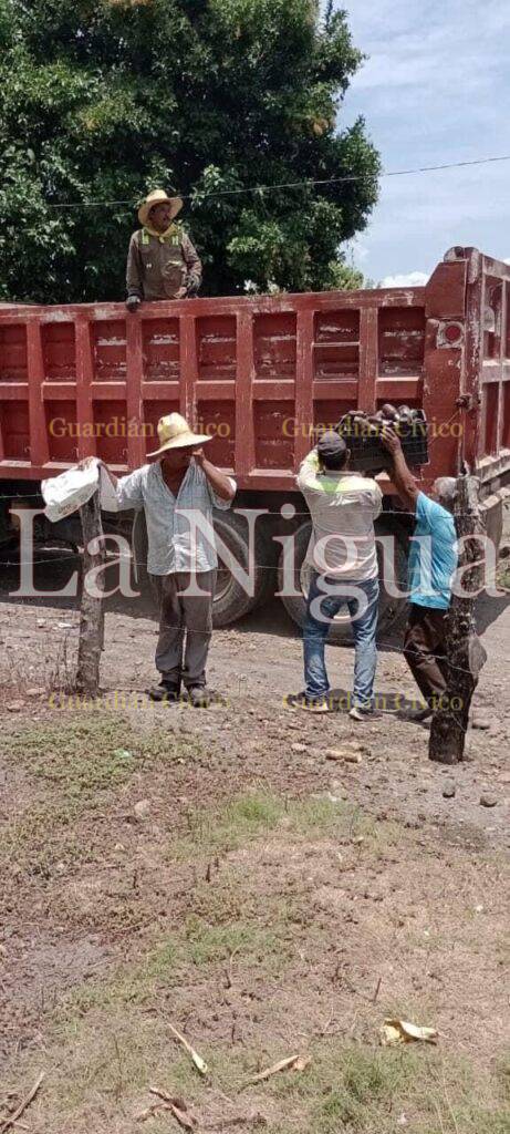 SOLEDAD AVANZA CON JORNADAS DE DESCACHARRIZACION 7 img 20230819 wa00532938516763891938277