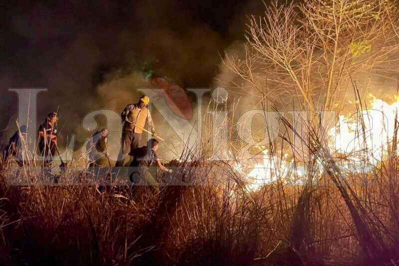 Incendio en la carretera hacia Mata Novillo controlado por autoridades de Protección Civil y Bomberos 2 img 0144 1