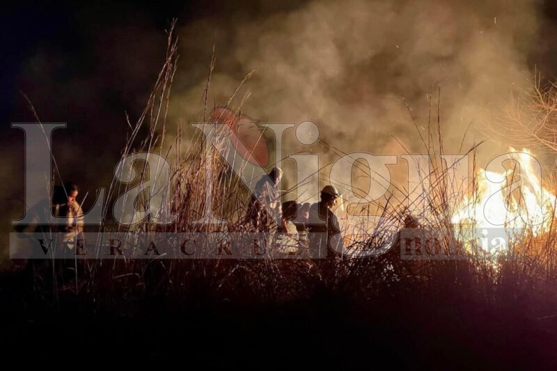 Incendio en la carretera hacia Mata Novillo controlado por autoridades de Protección Civil y Bomberos 3 img 0147 1