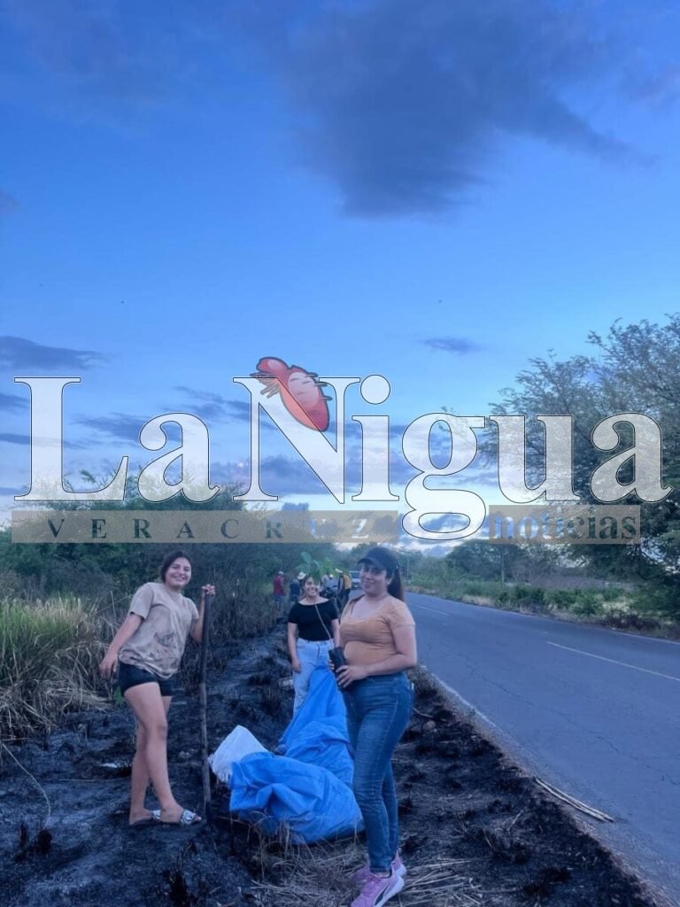 Grupo Planting Life LP trabaja por el medio ambiente 3 img 2247 1