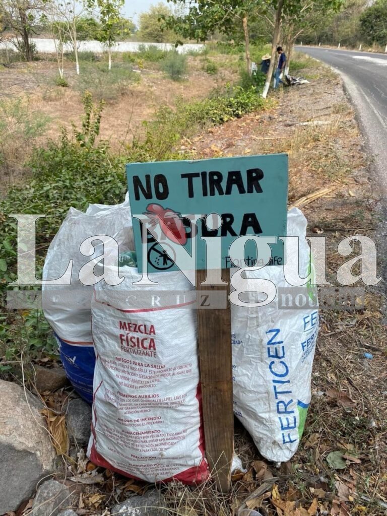 Grupo Planting Life LP trabaja por el medio ambiente 1 img 2249 1