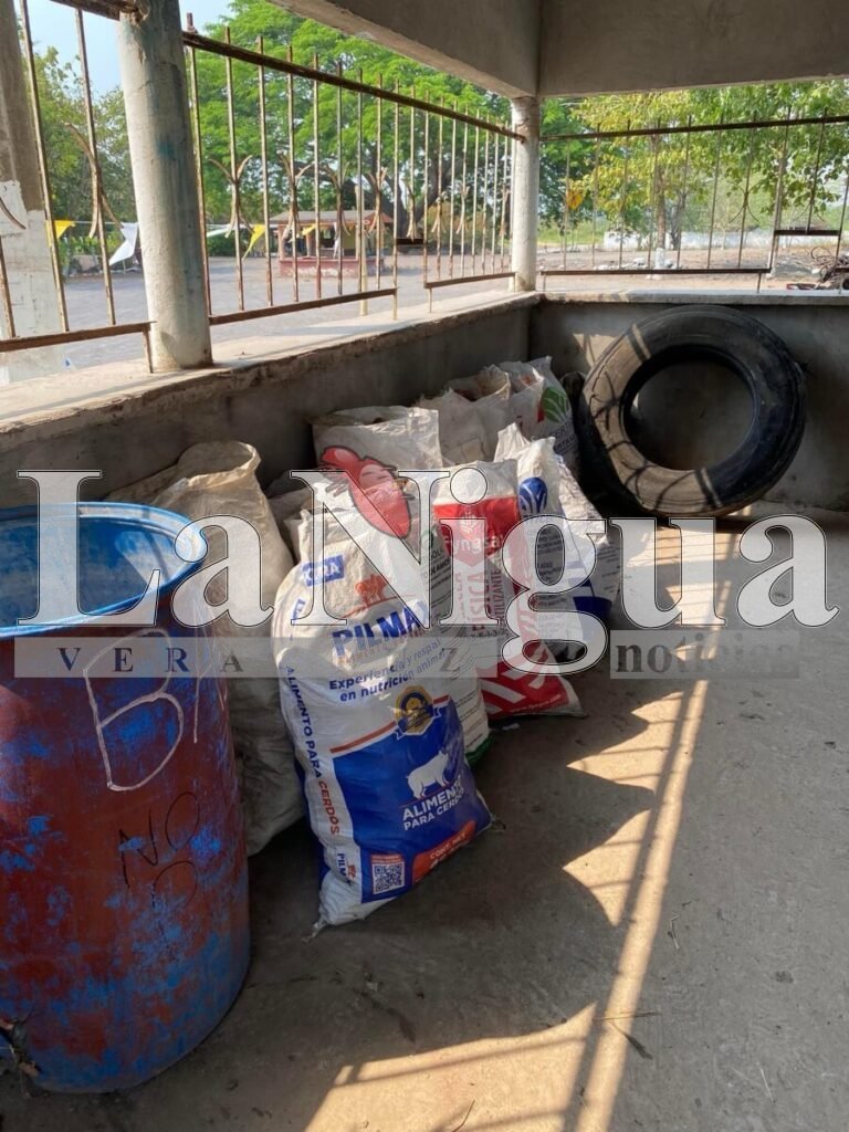 Grupo Planting Life LP trabaja por el medio ambiente 2 img 2250 1