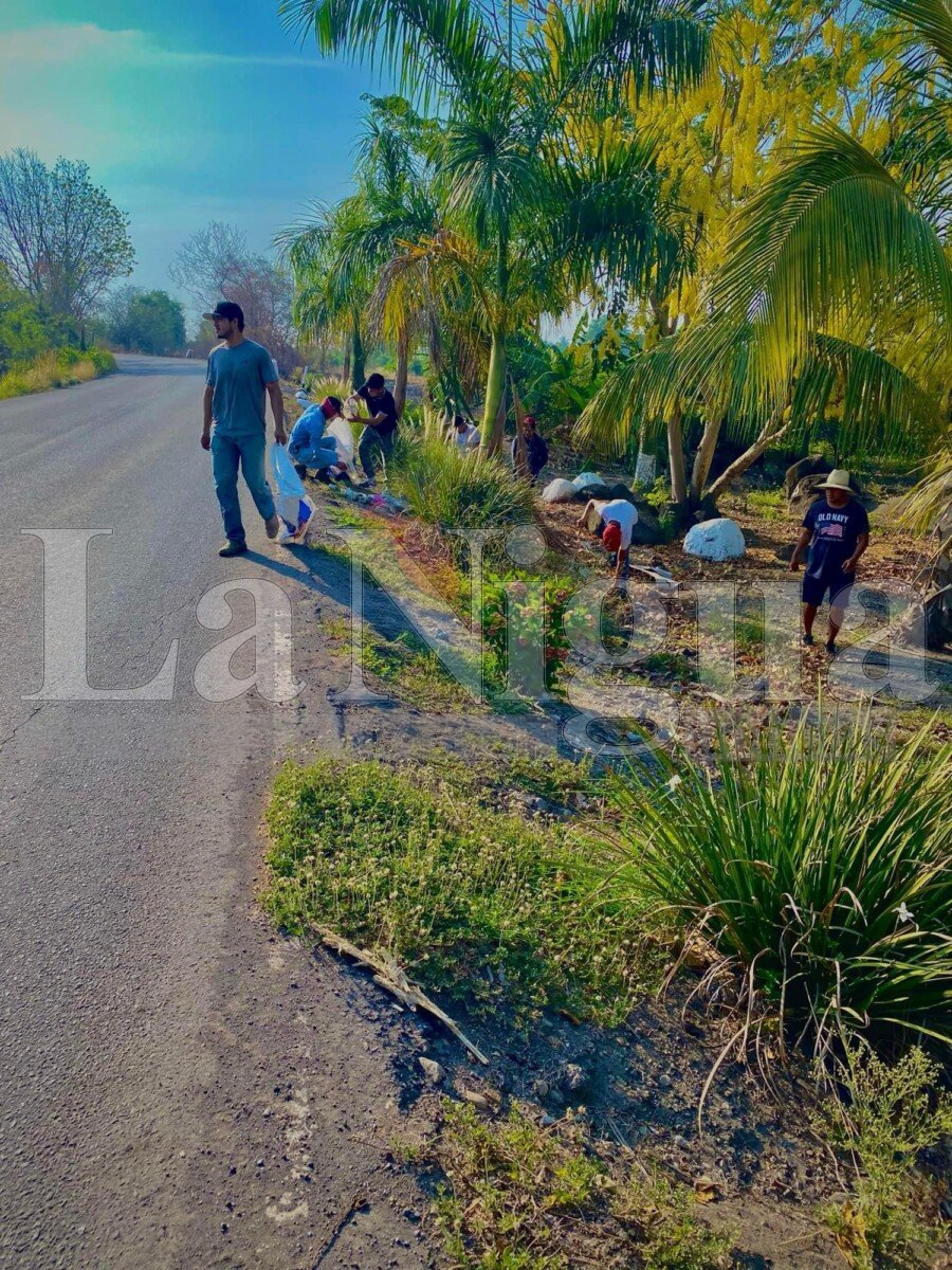 Grupo Planting Life LP trabaja por el medio ambiente 6 img 2251 1