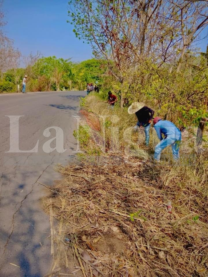 Grupo Planting Life LP trabaja por el medio ambiente 7 img 2252 1