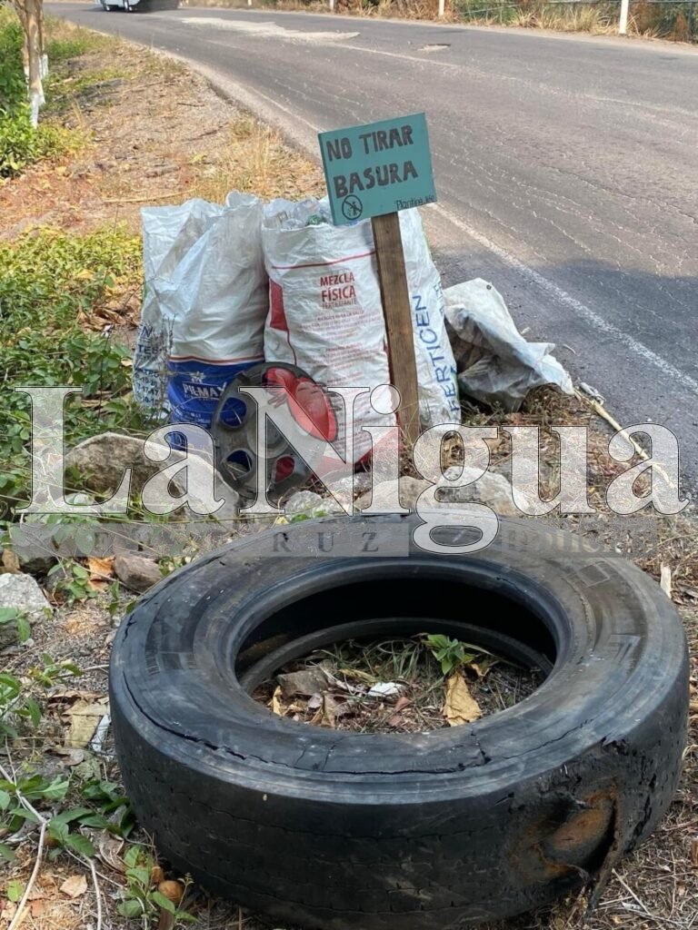 Grupo Planting Life LP trabaja por el medio ambiente 8 img 2255 1