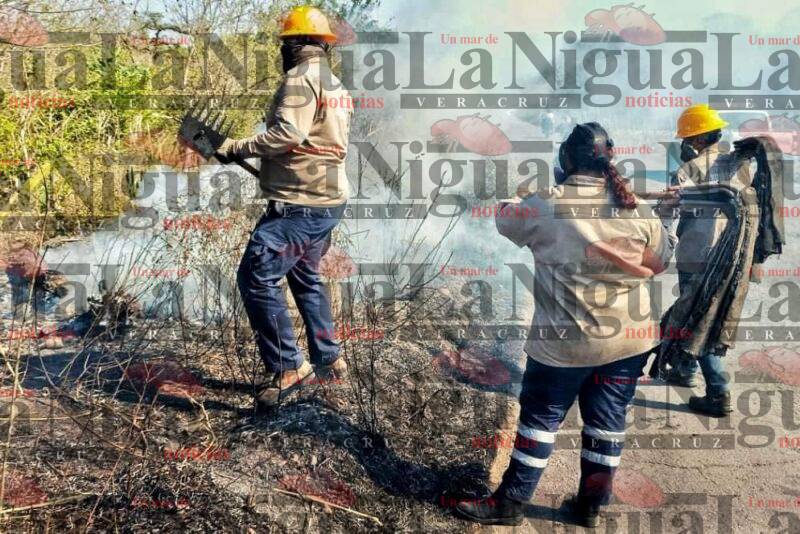 Controlan incendio de pastizal en la carretera hacia Teteles