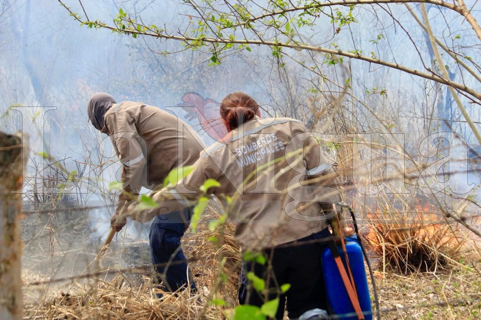 Combatieron fuego en el tramo Soledad-Las Pintas