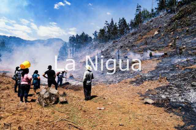 ATIENDEN INCENDIO FORESTAL EN COSCOMATEPEC 2 pastizal 16430073524980250273