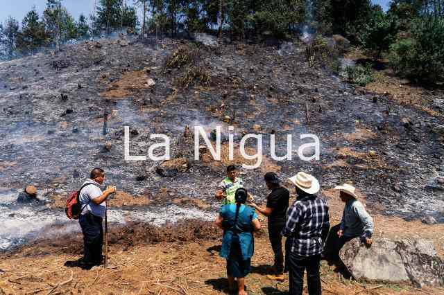 ATIENDEN INCENDIO FORESTAL EN COSCOMATEPEC 3 pastizal 23670609338770320642