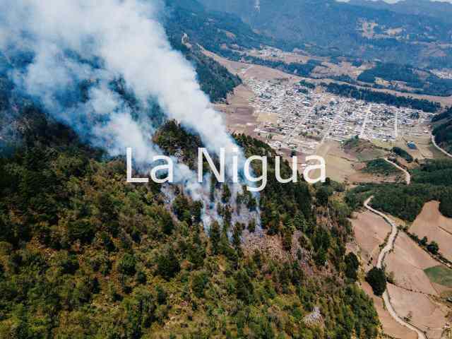 ATIENDEN INCENDIO FORESTAL EN COSCOMATEPEC 5 pastizal 49111536396360231986