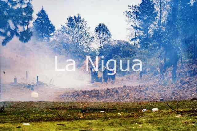 ATIENDEN INCENDIO FORESTAL EN COSCOMATEPEC 6 pastizal 51526670898632861243
