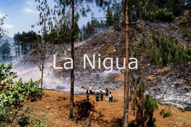 ATIENDEN INCENDIO FORESTAL EN COSCOMATEPEC 1 pastizal 61696325795839878556