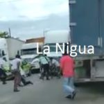 tanchos